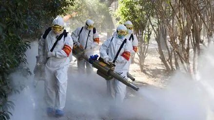 Image description