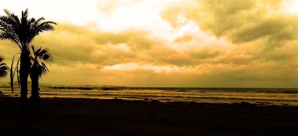 Picture