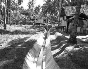 Image description