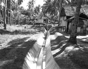 Image description